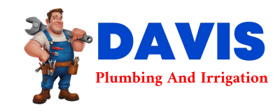 Trusted plumber in DOWNS